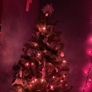 Meet your Posher, Natalee